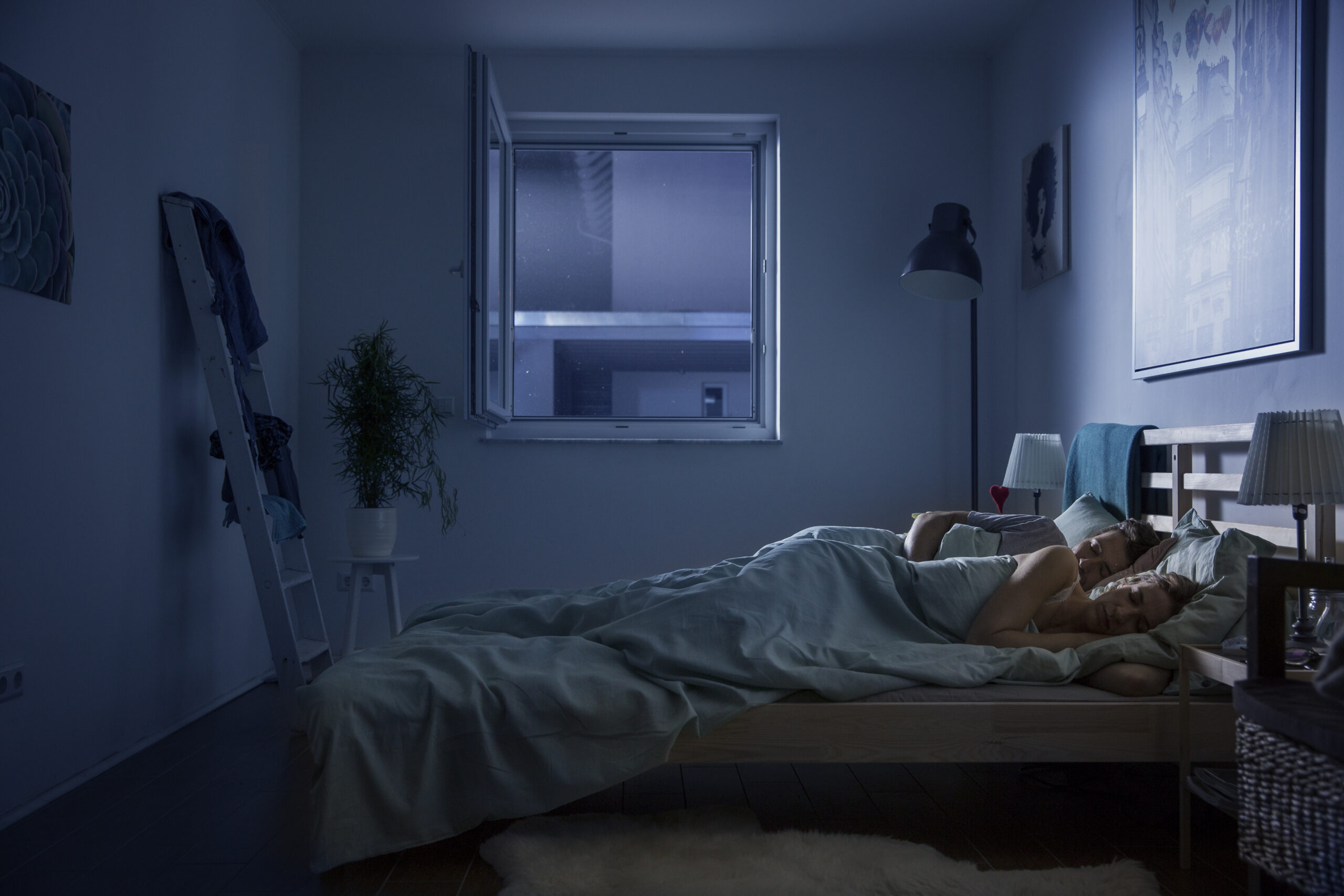 moustiquaire sur mesure cadre fixe